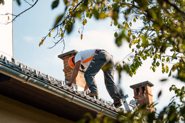 Best Roof Gutter Cleaning  in Oskaloosa, KS