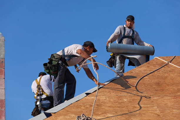 Roof Gutter Cleaning in Oskaloosa, KS